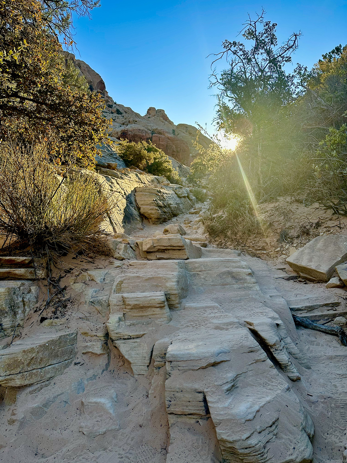 When The Pathway Stops Glowing Jesus Worldview Initiative